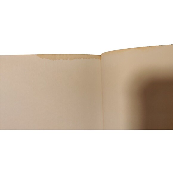 New Believer's Bible New Living Translation-NLT (Softcover)-Christian-2004 - Picture 10 of 10